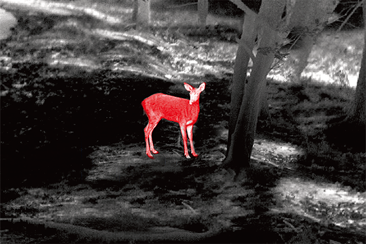 Night Vision Observation