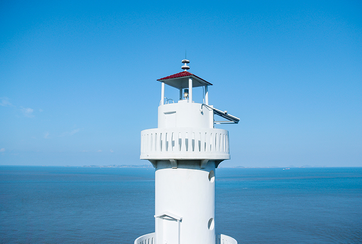 Long-Range Surveillance System